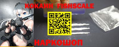 гидра Будённовск