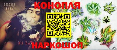 гидра Будённовск