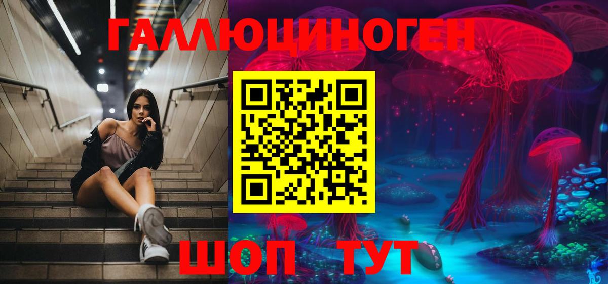 Галлюциногенные грибы Psilocybine cubensis  Вход с VPN  сколько стоит  Лениногорск 